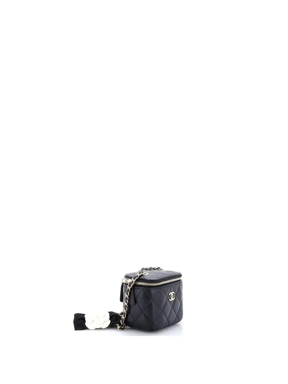 Chanel Classic Vanity Case With Resin #290753C49B